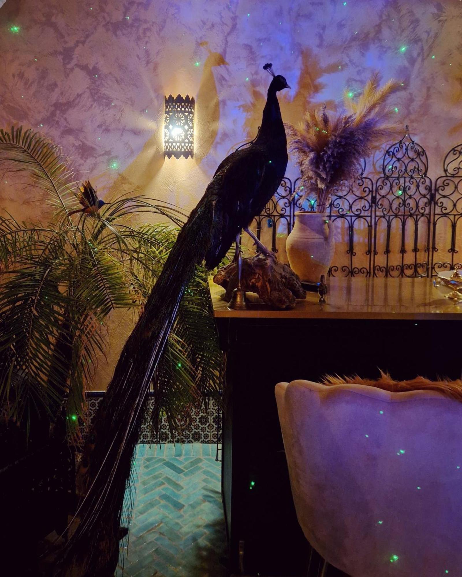Agraba, 1001 Nights * Lomm